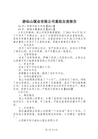 游仙山煤业有限公司重组自查报告