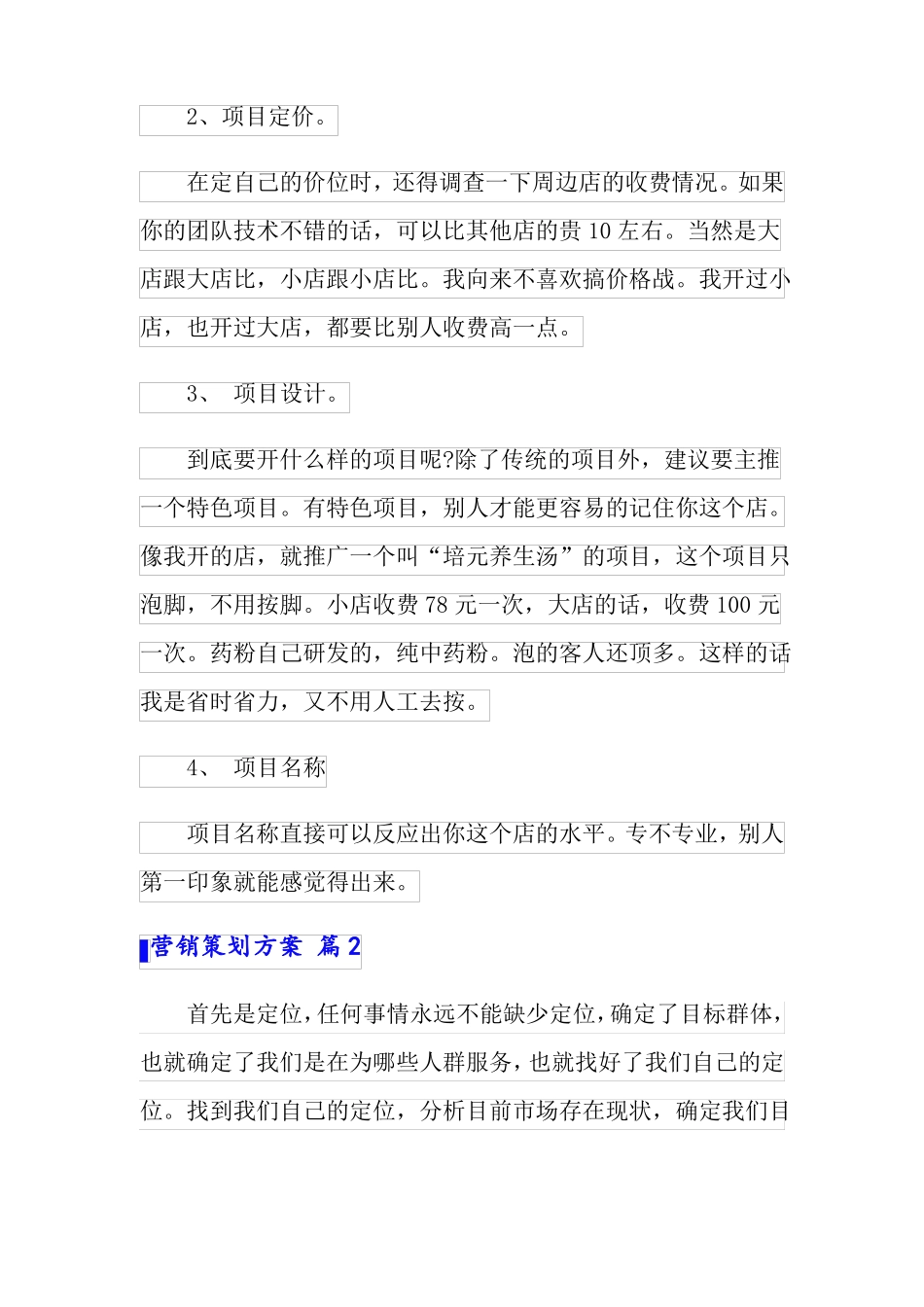 营销策划方案模板六篇精选模板_第2页