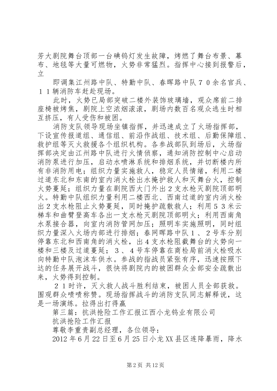 消防救援支队抗洪抢险工作落实情况汇报_第2页