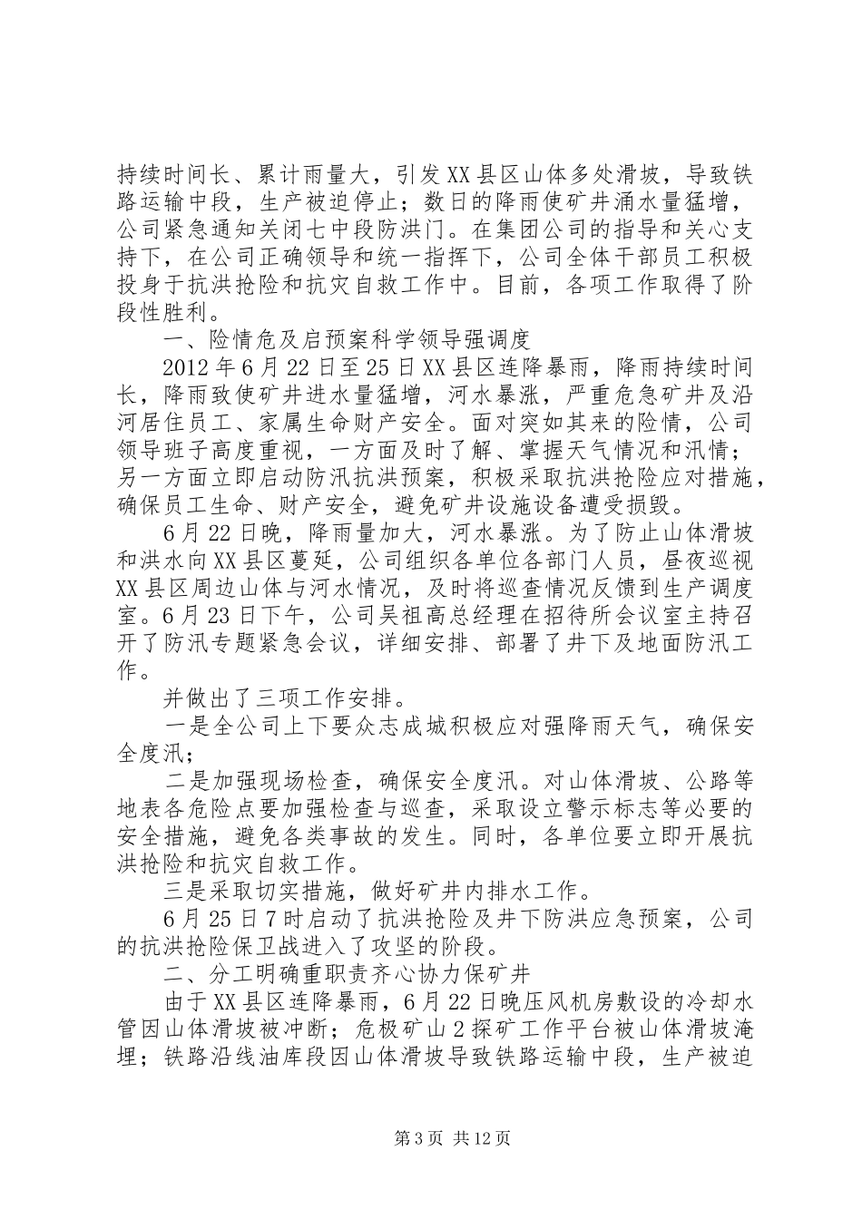 消防救援支队抗洪抢险工作落实情况汇报_第3页