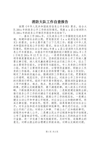 消防大队工作自查报告