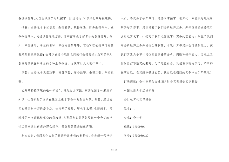 电算化审计实训报告_第2页