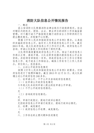 消防大队信息公开情况报告