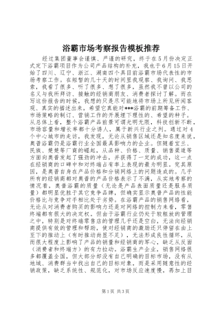 浴霸市场考察报告模板推荐