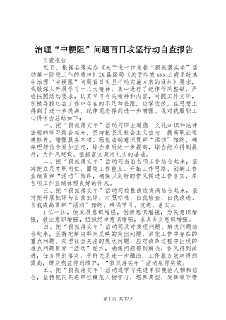 治理“中梗阻”问题百日攻坚行动自查报告