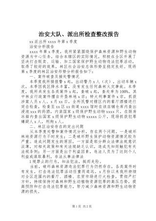 治安大队、派出所检查整改报告