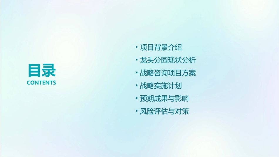龙头分园战略咨询项目课件_第2页
