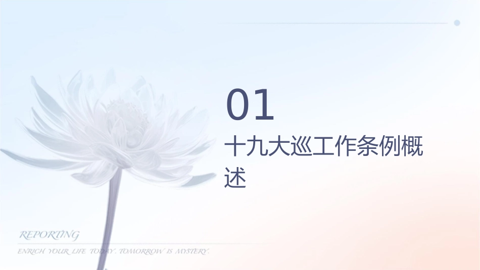 聚焦十九大巡视工作条例解读课件_第3页