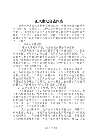 正风肃纪自查报告 (13)
