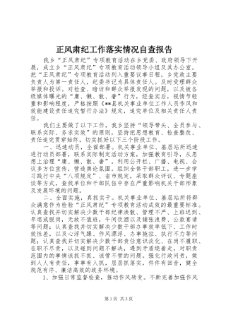 正风肃纪工作落实情况自查报告