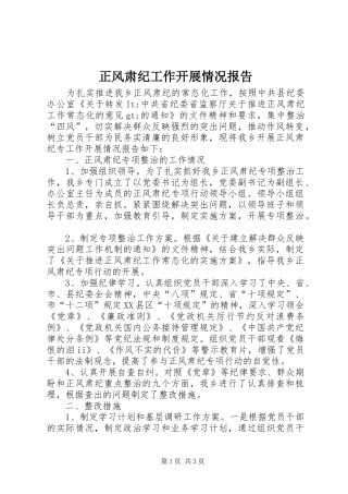 正风肃纪工作开展情况报告