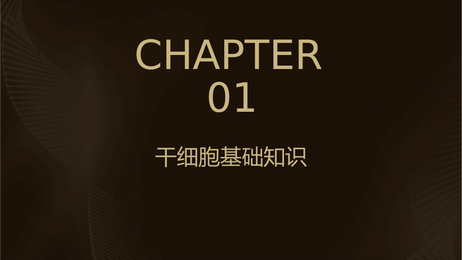 研究生干细胞课件_第3页