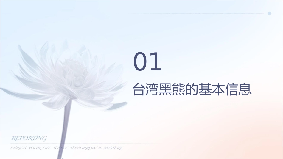 而爬树更是台湾黑熊的拿手绝活课件_第3页