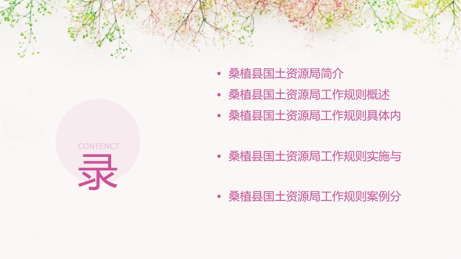 桑植县国土资源局工作规则课件_第2页