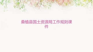 桑植县国土资源局工作规则课件