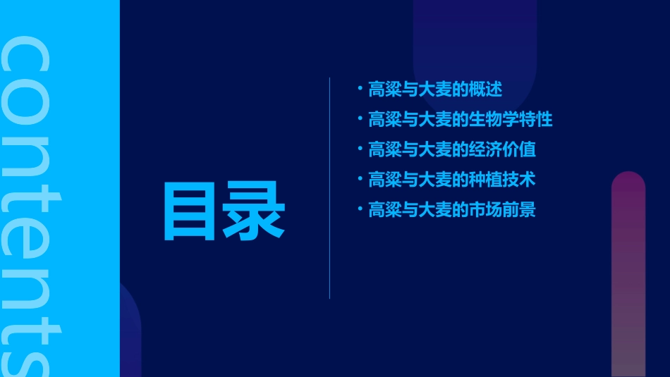 高粱大麦浅析要点课件_第2页