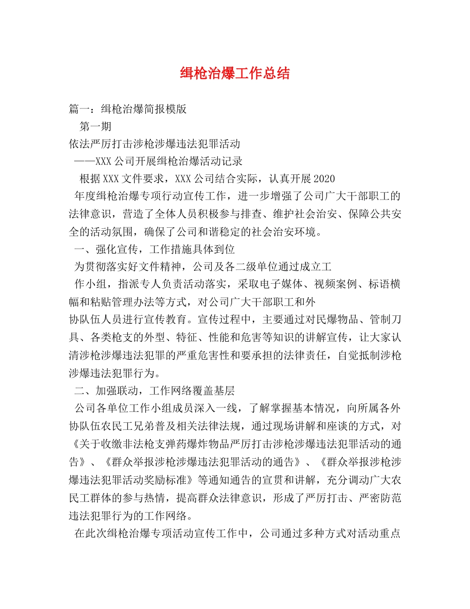 缉枪治爆工作总结 _第1页