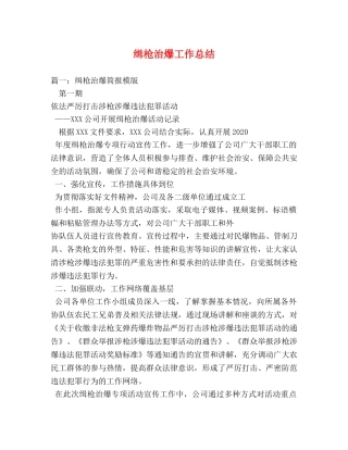 缉枪治爆工作总结 