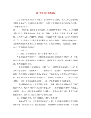 红十字会2020年终总结 
