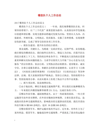 稽查队个人工作总结 