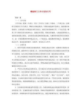 稽查部门工作计划怎么写 