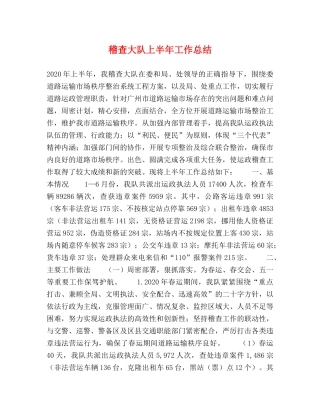 稽查大队上半年工作总结 