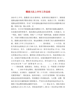 稽查大队上半年工作总结2 