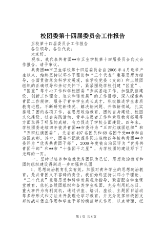 校团委第十四届委员会工作报告