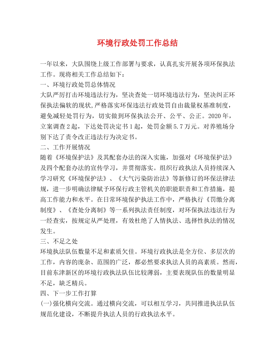 环境行政处罚工作总结 _第1页