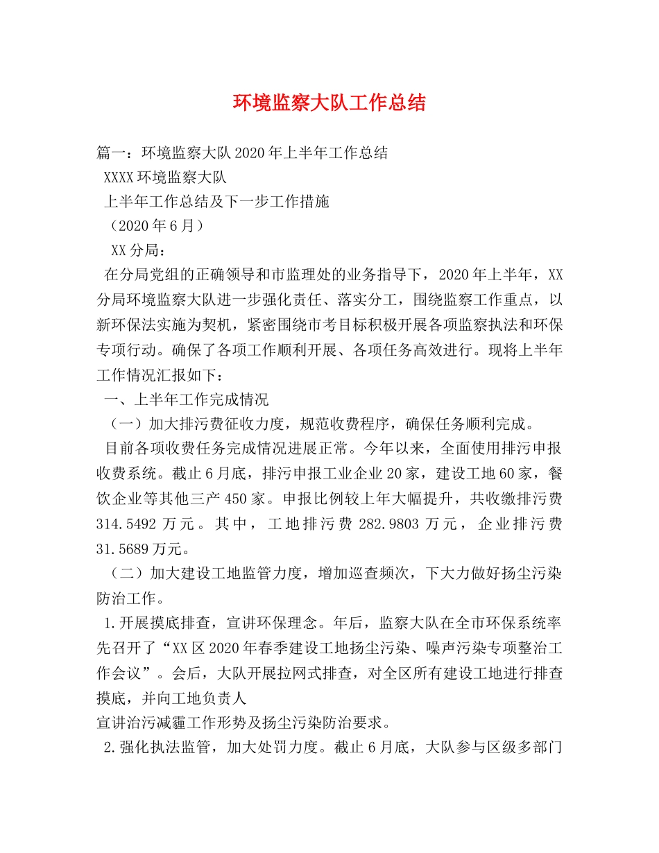 环境监察大队工作总结 _第1页