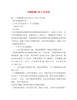 环境监察大队工作总结 