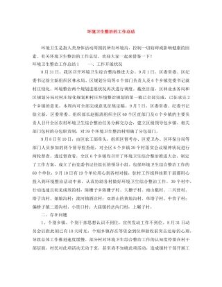 环境卫生整治的工作总结 