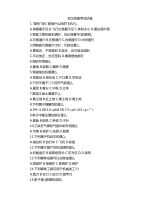 武汉技能考试试卷