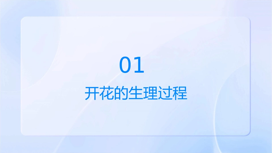 讲课开花和结果课件_第3页