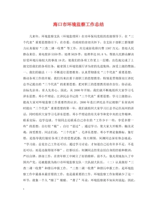 海口市环境监察工作总结 
