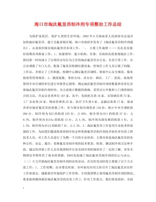 海口市淘汰氟里昂制冷剂专项整治工作总结 