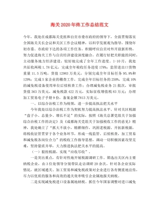 海关2020年终工作总结范文 