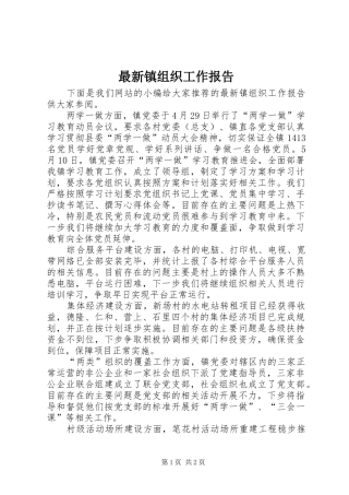 最新镇组织工作报告