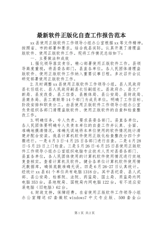 最新软件正版化自查工作报告范本