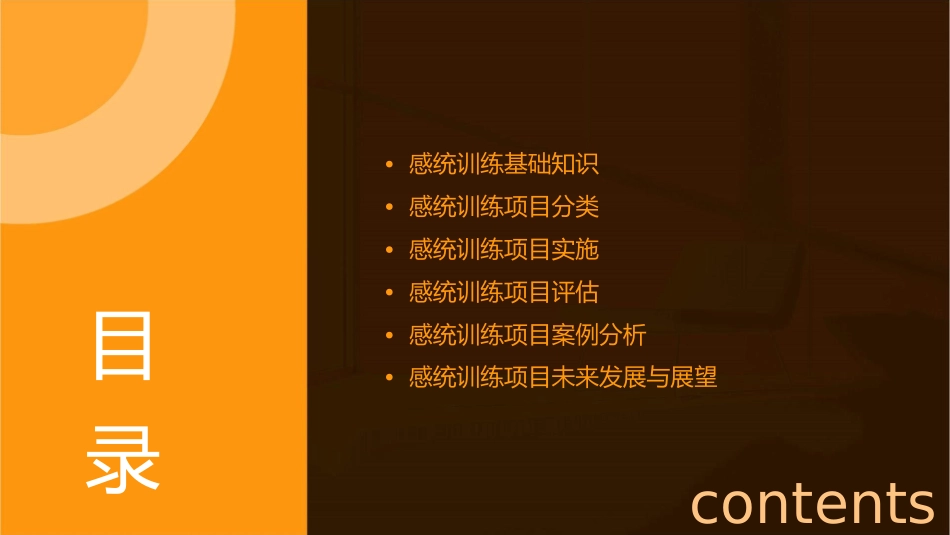 感统训练项目集锦通用课件_第2页