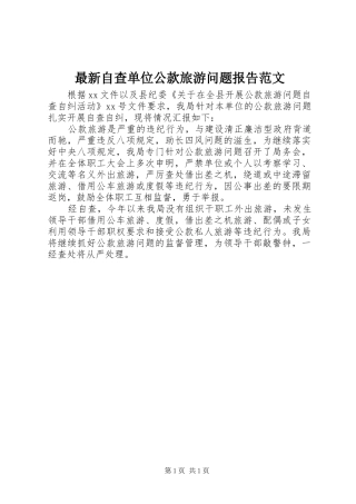 最新自查单位公款旅游问题报告范文