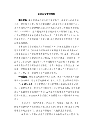 公司运营管理机制
