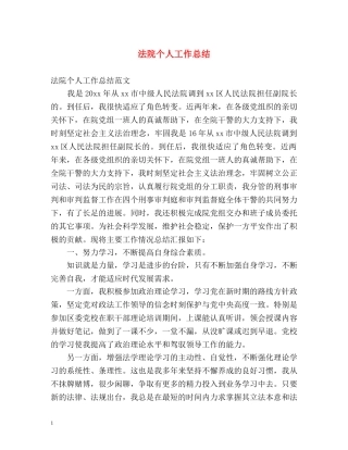 法院个人工作总结2 