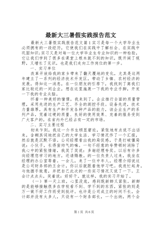 最新大三暑假实践报告范文