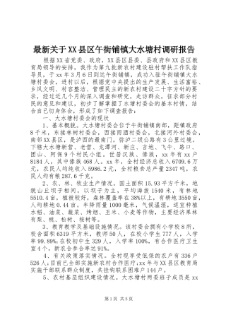 最新关于XX县区午街铺镇大水塘村调研报告