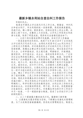 最新乡镇水利站自查自纠工作报告