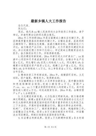 最新乡镇人大工作报告