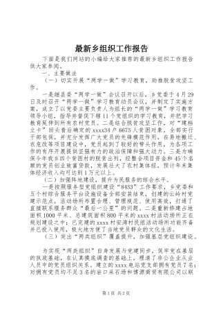 最新乡组织工作报告