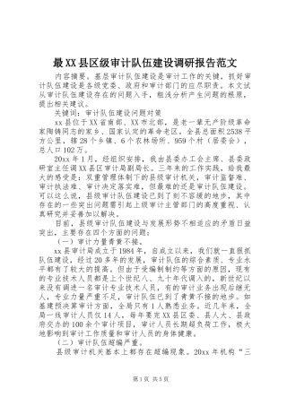 最XX县区级审计队伍建设调研报告范文