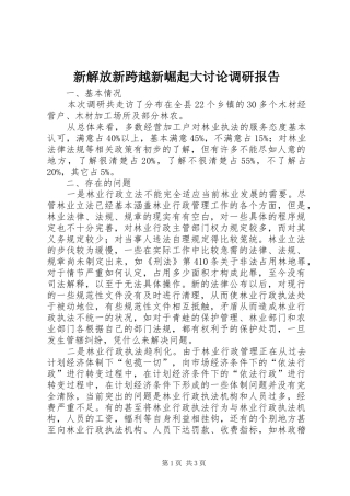 新解放新跨越新崛起大讨论调研报告